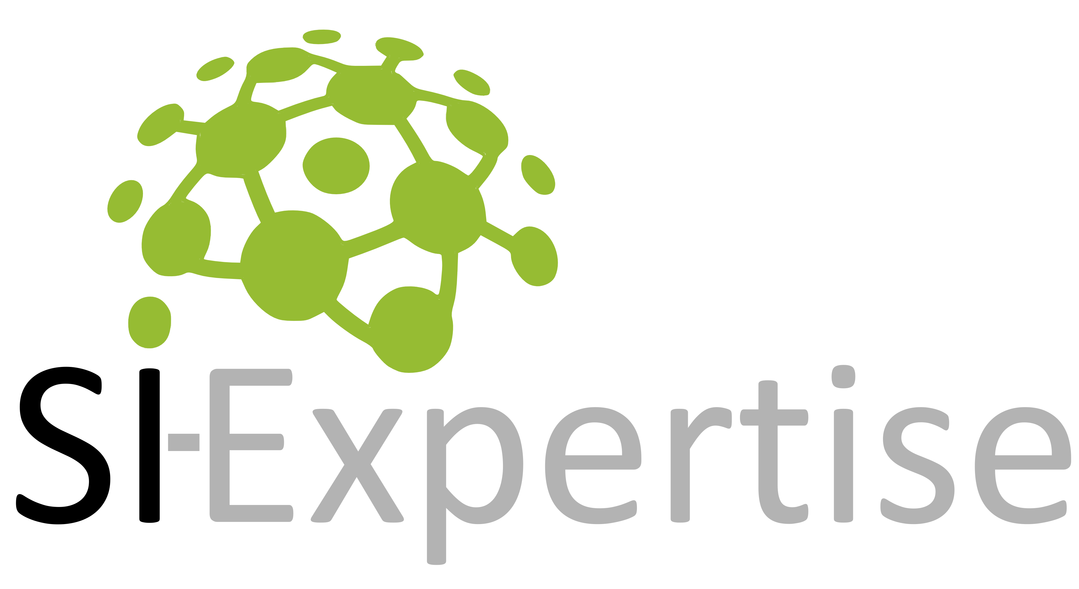 SI-Expertise SI-Expertise
